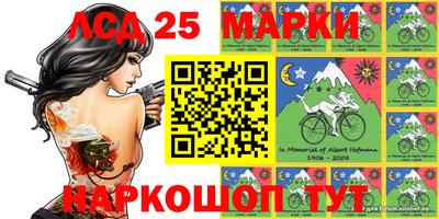 ALPHA PVP Гатчина