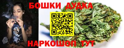 дурь Гай