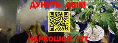 ALPHA PVP Гатчина