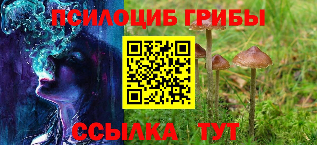 Балтийск  Галлюциногенные грибы MAGIC MUSHROOMS  Вход с VPN  Галлюциногенные грибы мухоморы 